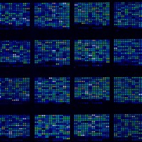 Workshop on bioinformatics